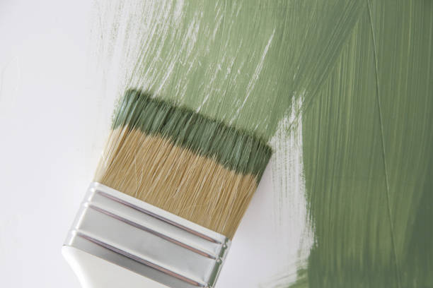  Bel Air, MD Mold Removal Pros