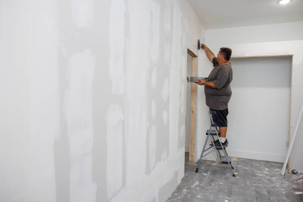 Bel Air, MD Mold Removal Company