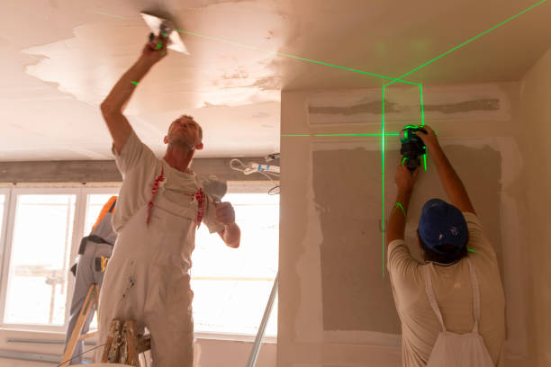 Best Asbestos and Lead Testing During Mold Inspection  in Bel Air, MD