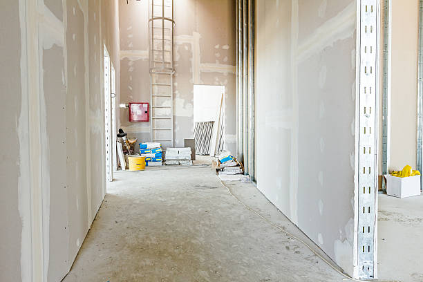 Best Real Estate Mold Inspection  in Bel Air, MD